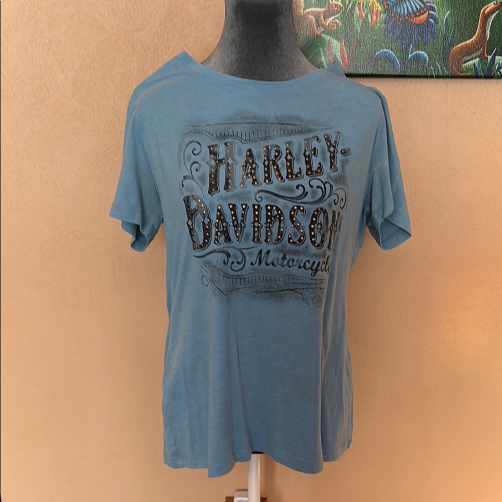 Harley-Davidson Alligator Alley Tee
